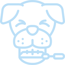 Veterinary dental examination of dog's teeth and gums for oral health assessment