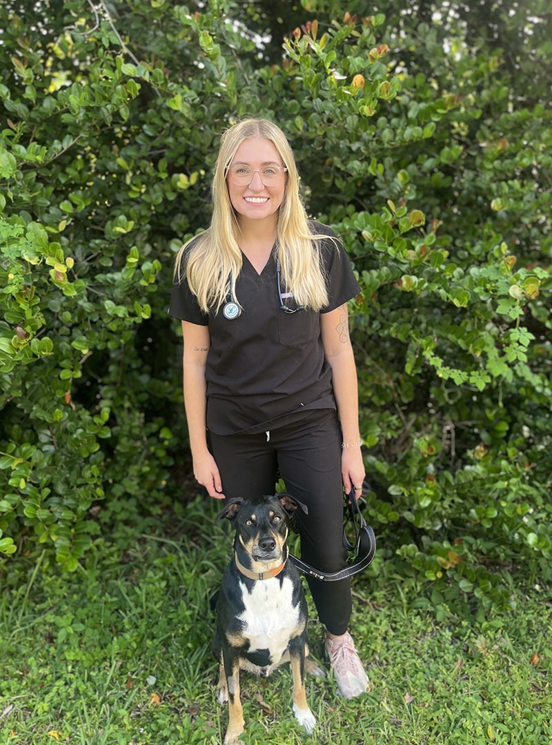 Dr. Marr professional veterinarian biography photo at Indian Creek Veterinary Hospital