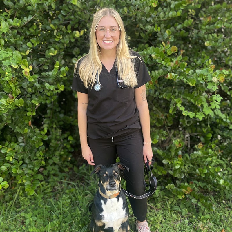 Dr. Marr veterinarian profile headshot at Fort Myers veterinary practice